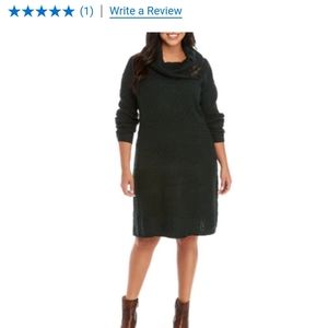 Sandra Darren Plus Size Turtleneck Sweater Dress